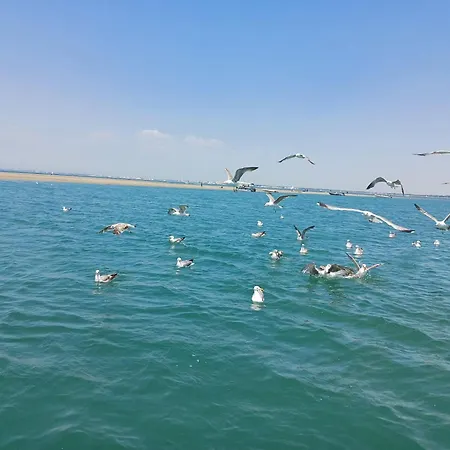 Atypique Bateau-hôtel *